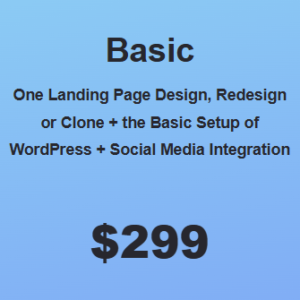 Website Basic Package