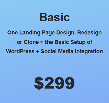 Website Basic Package