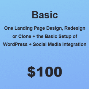 Website Basic Package